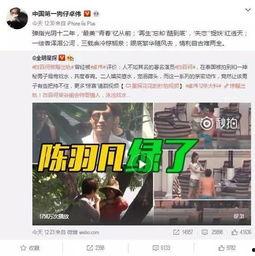 赵辰宇出轨爆料视频合集,揭秘娱乐圈的隐秘真相